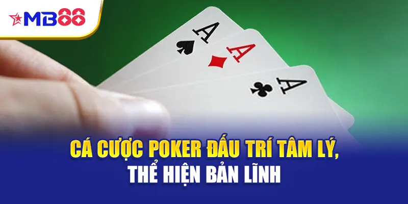 Cá cược Poker đấu trí tâm lý, thể hiện bản lĩnh