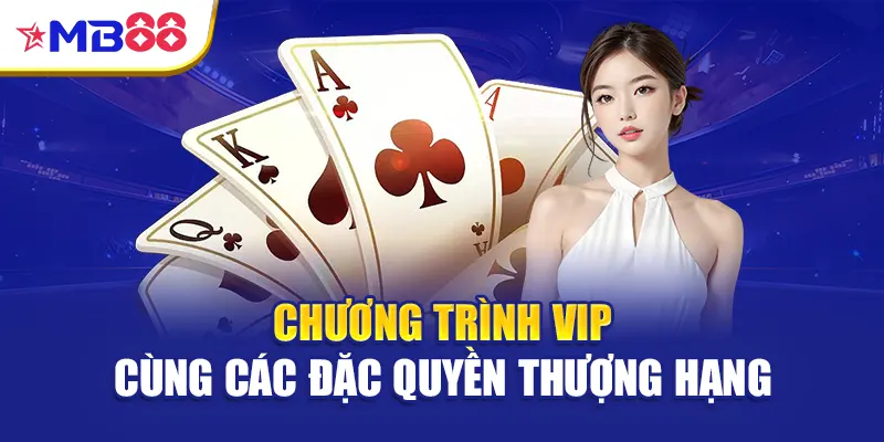 Chương trình VIP cùng các đặc quyền thượng hạng