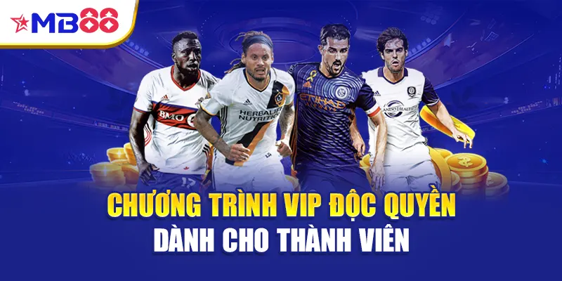 Chương trình VIP độc quyền dành cho thành viên