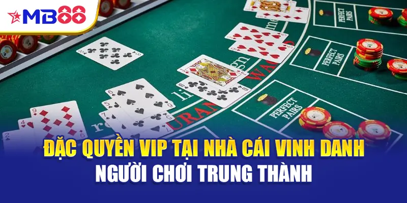 Đặc quyền VIP tại nhà cái vinh danh người chơi trung thành