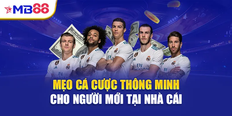 Mẹo cá cược thông minh cho người mới tại nhà cái