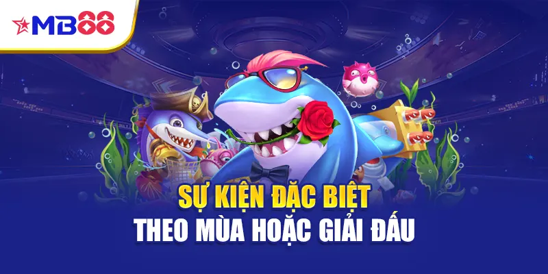 Sự kiện đặc biệt theo mùa hoặc giải đấu