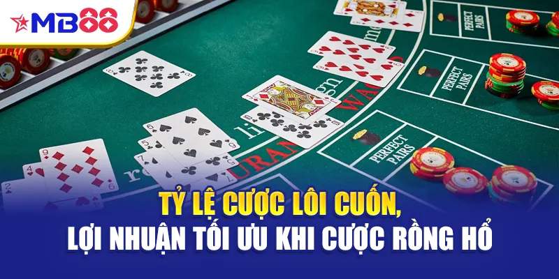 Tỷ lệ cược lôi cuốn, lợi nhuận tối ưu khi cược rồng hổ
