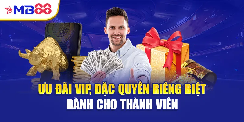 Ưu đãi VIP, đặc quyền riêng biệt dành cho thành viên