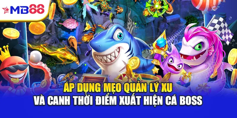 Áp dụng mẹo quản lý xu và canh thời điểm xuất hiện cá boss