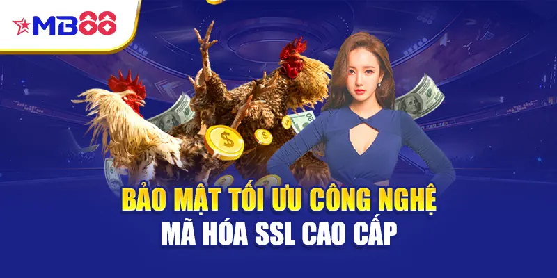 Bảo mật tối ưu công nghệ mã hóa SSL cao cấp