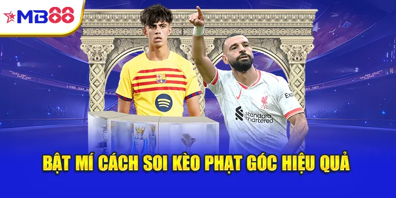 Bật mí cách soi kèo phạt góc hiệu quả