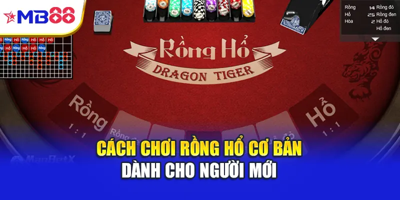 Cách chơi Rồng Hổ cơ bản dành cho người mới