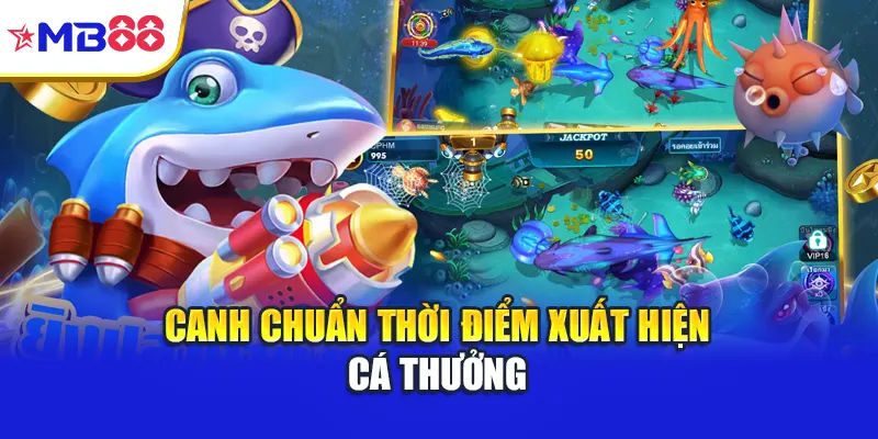 Canh chuẩn thời điểm xuất hiện cá thưởng