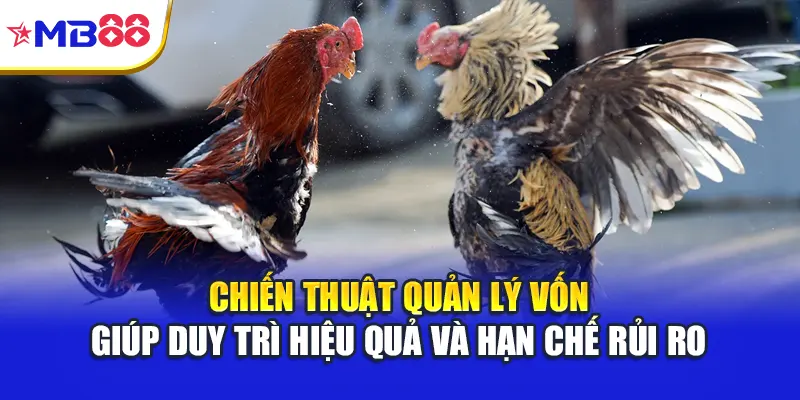 Chiến thuật quản lý vốn giúp duy trì hiệu quả và hạn chế rủi ro