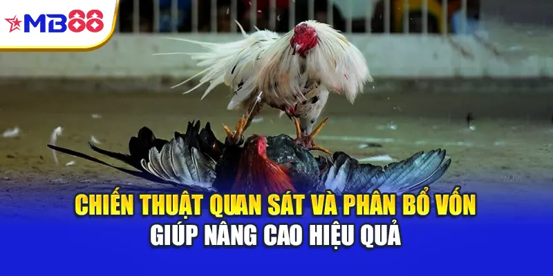 Chiến thuật quan sát và phân bổ vốn giúp nâng cao hiệu quả
