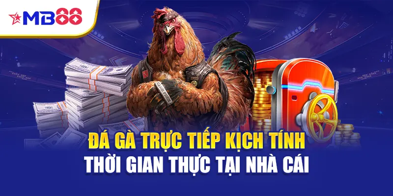 Đá gà trực tiếp kịch tính thời gian thực tại nhà cái