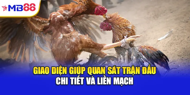 Giao diện giúp quan sát trận đấu chi tiết và liền mạch