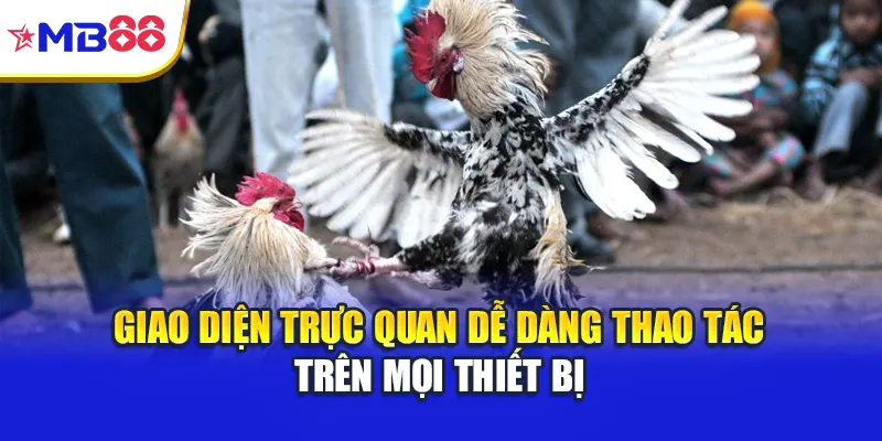 Giao diện trực quan dễ dàng thao tác trên mọi thiết bị