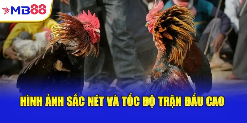 Hình ảnh sắc nét và tốc độ trận đấu cao