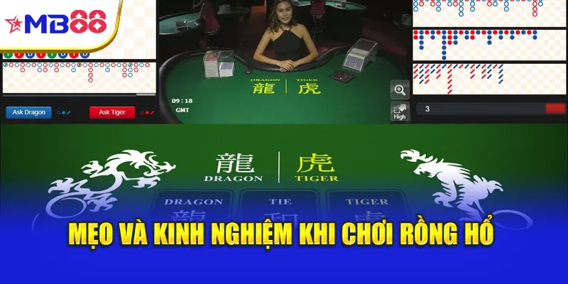 Mẹo và kinh nghiệm khi chơi Rồng Hổ