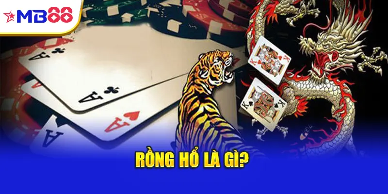 Rồng Hổ là gì?